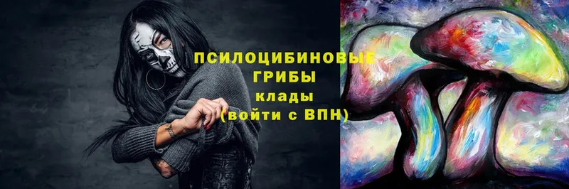 Псилоцибиновые грибы мицелий  Бодайбо 